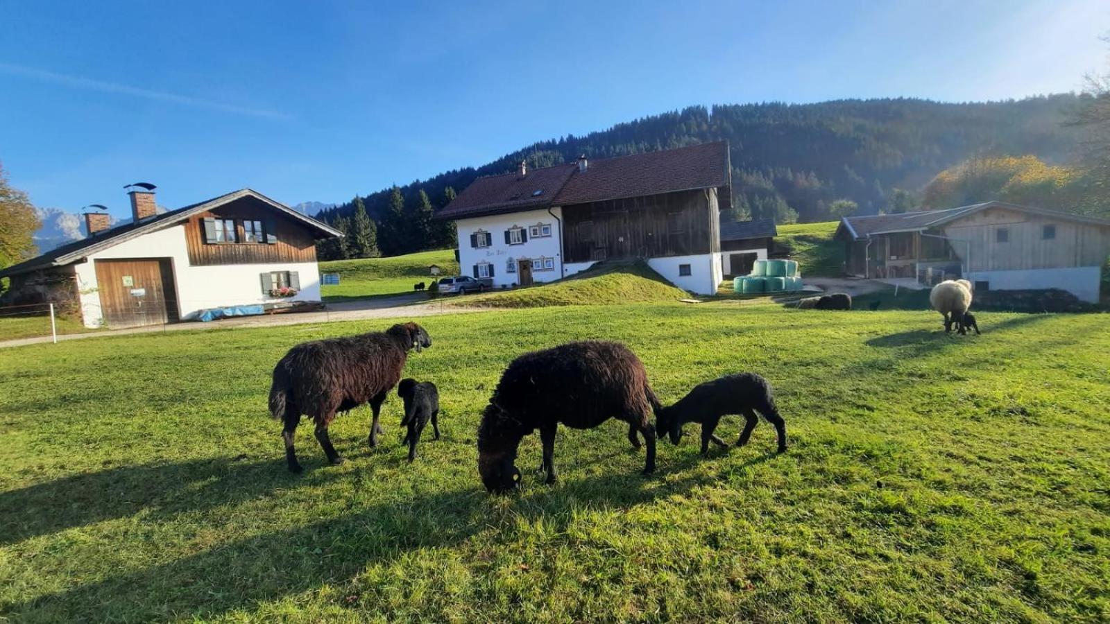 Bauernhaus Jocher Krun Exterior photo